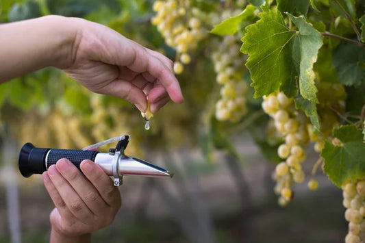 How to Use a Refractometer