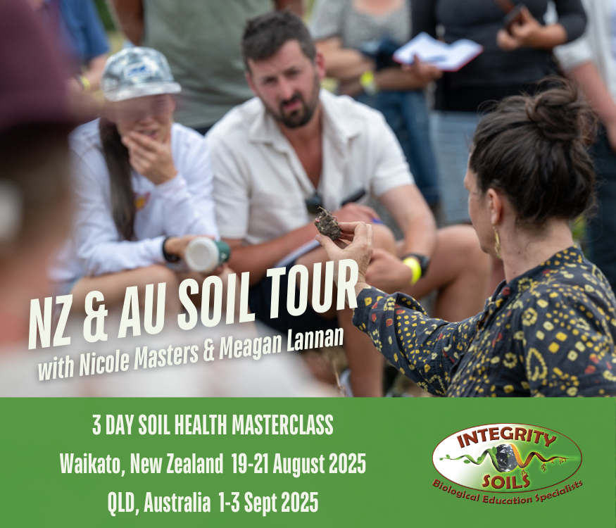 Masterclass 2025, Hamilton, New Zealand