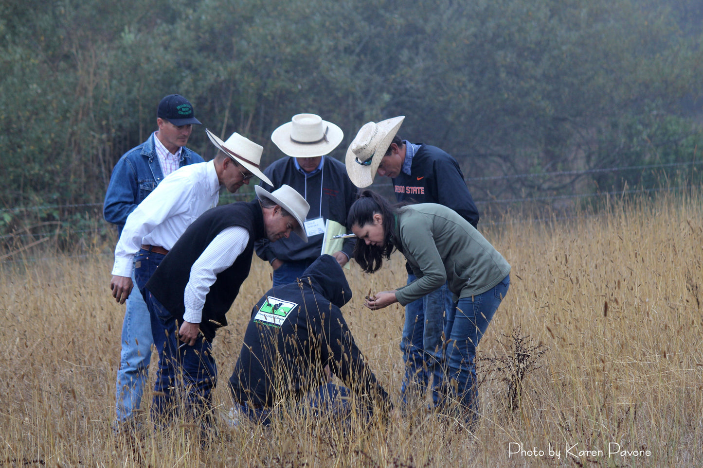 Soil Health Foundation