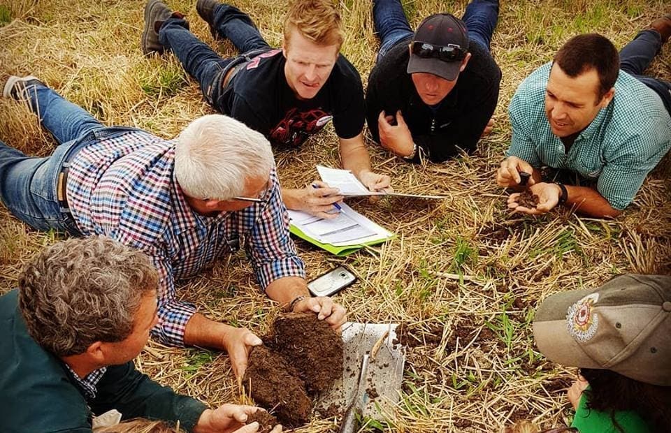 down in the soil