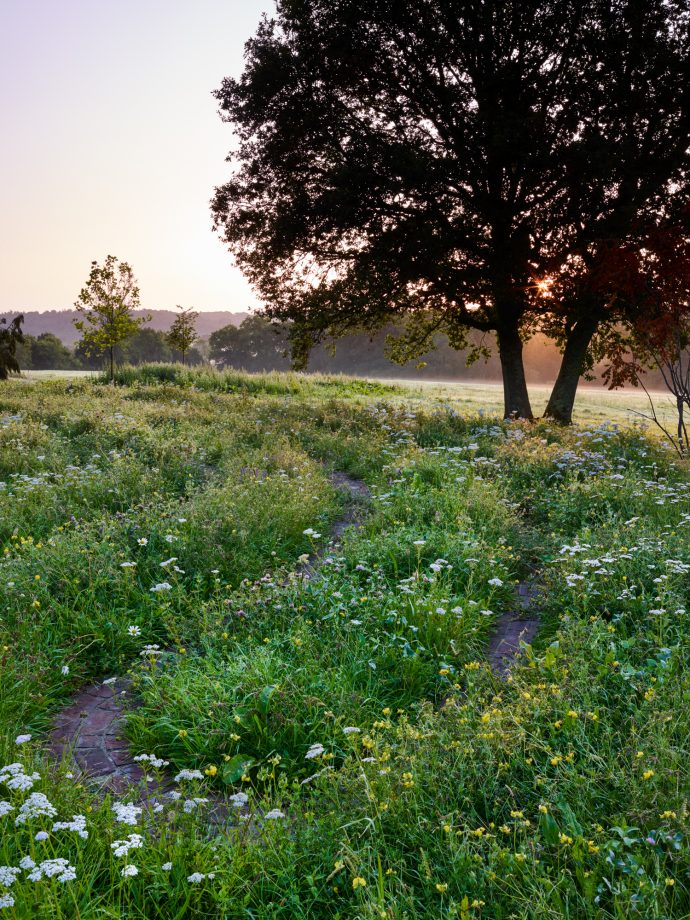 Marian Boswall on Country Life