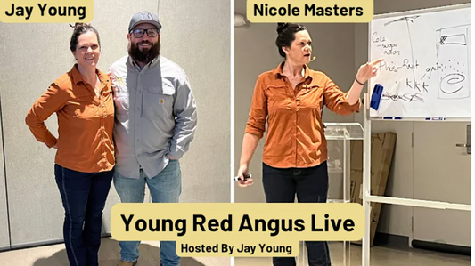 Young Red Angus: YouTube Living Interview with Nicole Masters