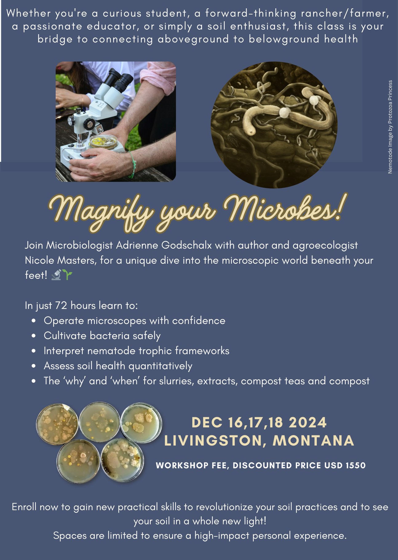 Magnify your Microbes