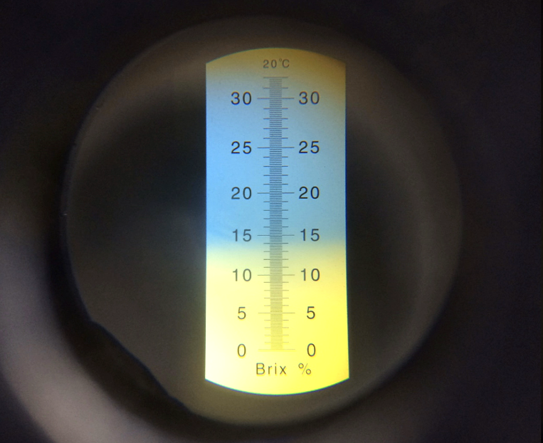 Soil Health Foundation