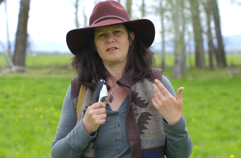 Soil Health Foundation