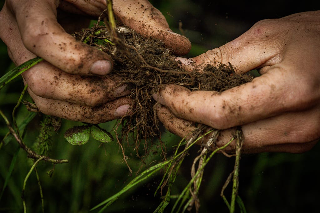 soil hands extreme close